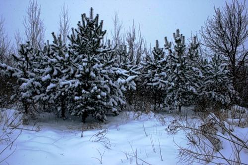 Юбилейный микрорайон краснодар, какой округ.