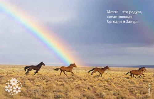 Мечта исполнилась Цитаты. Всё начинается с мечты… Красивые статусы про мечты и желания